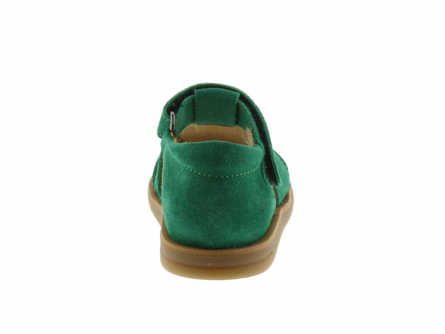 TOM1235 ACEBO'S vert