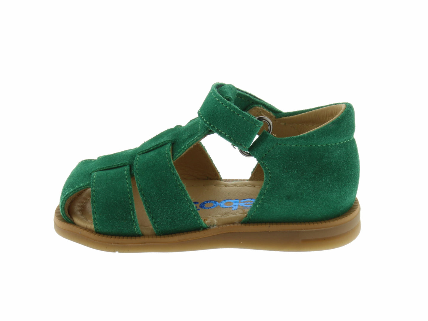 TOM1235 ACEBO'S vert