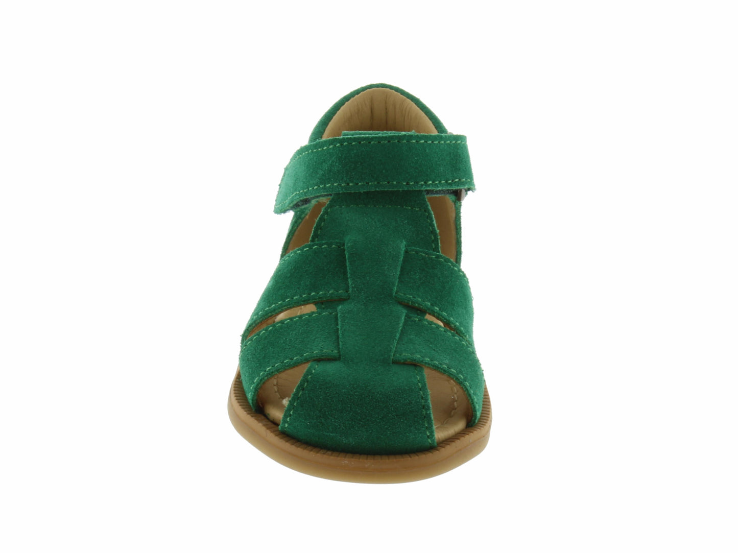 TOM1235 ACEBO'S vert
