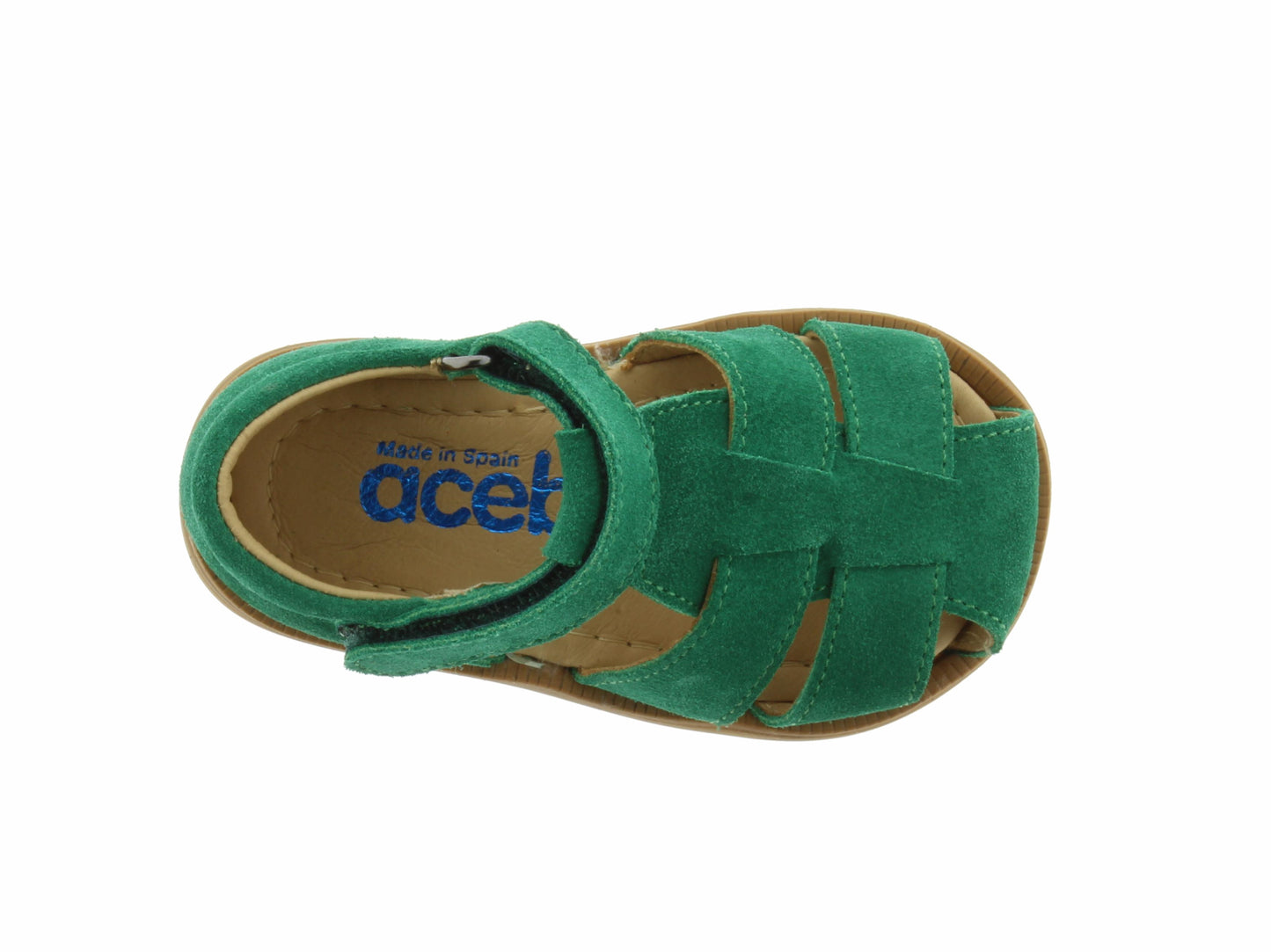 TOM1235 ACEBO'S vert