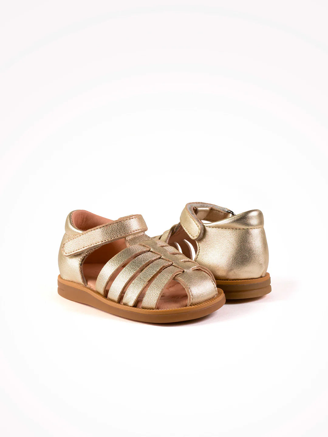 LOLA1310 ACEBO'S or