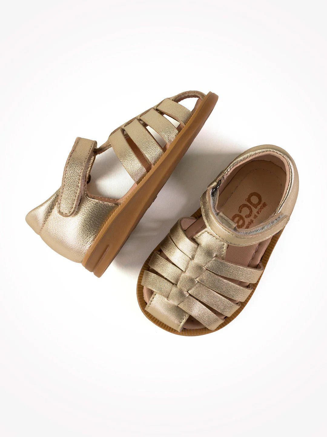 LOLA1310 ACEBO'S or