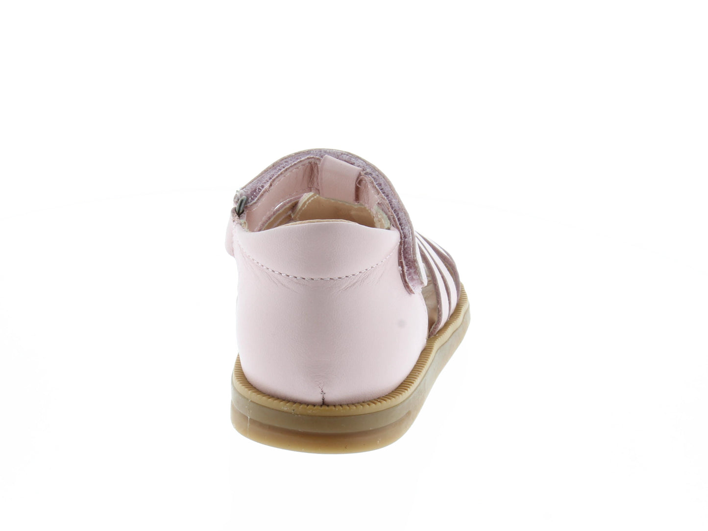 LOUNA1310 ACEBO'S rose