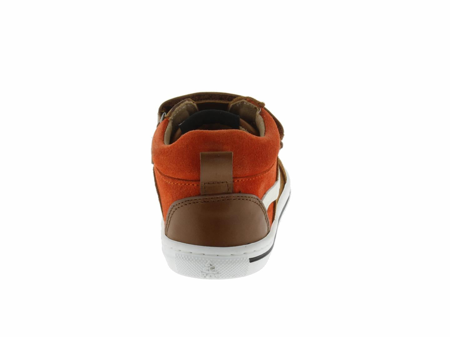 ROBIN1454 camel