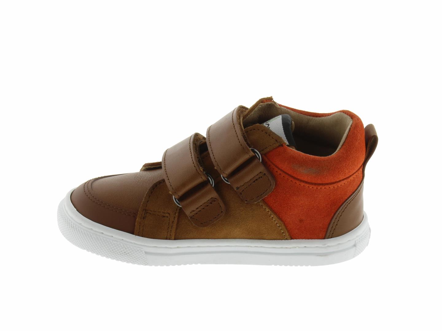 ROBIN1454 camel