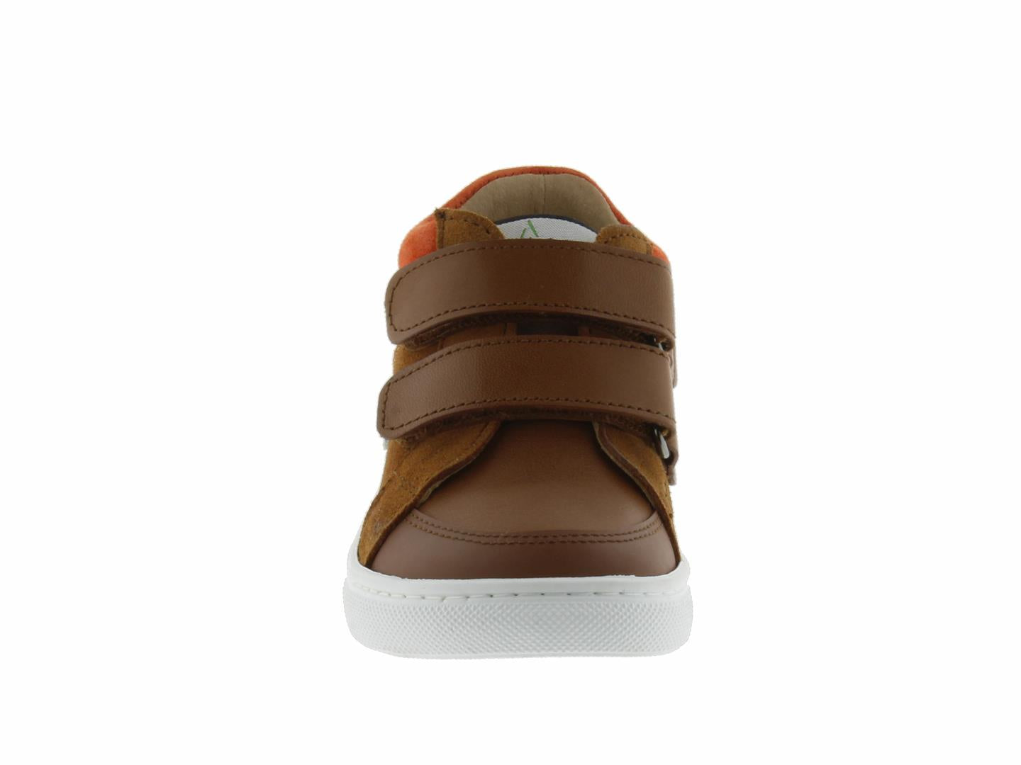 ROBIN1454 camel