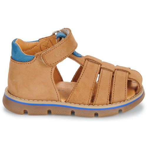 NOAM GBB camel
