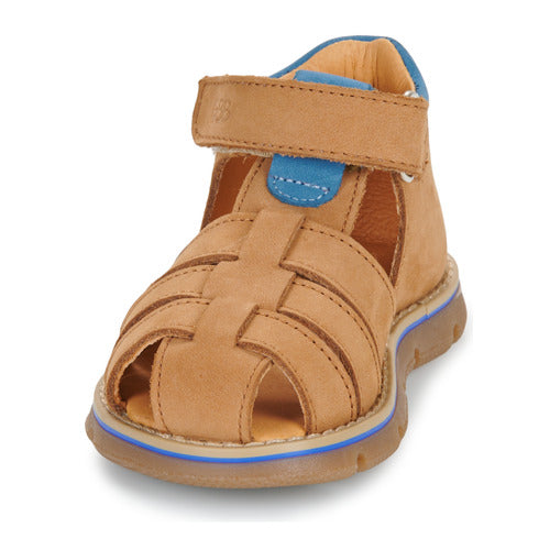 NOAM GBB camel