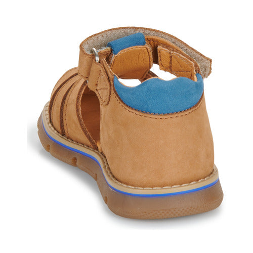 NOAM GBB camel