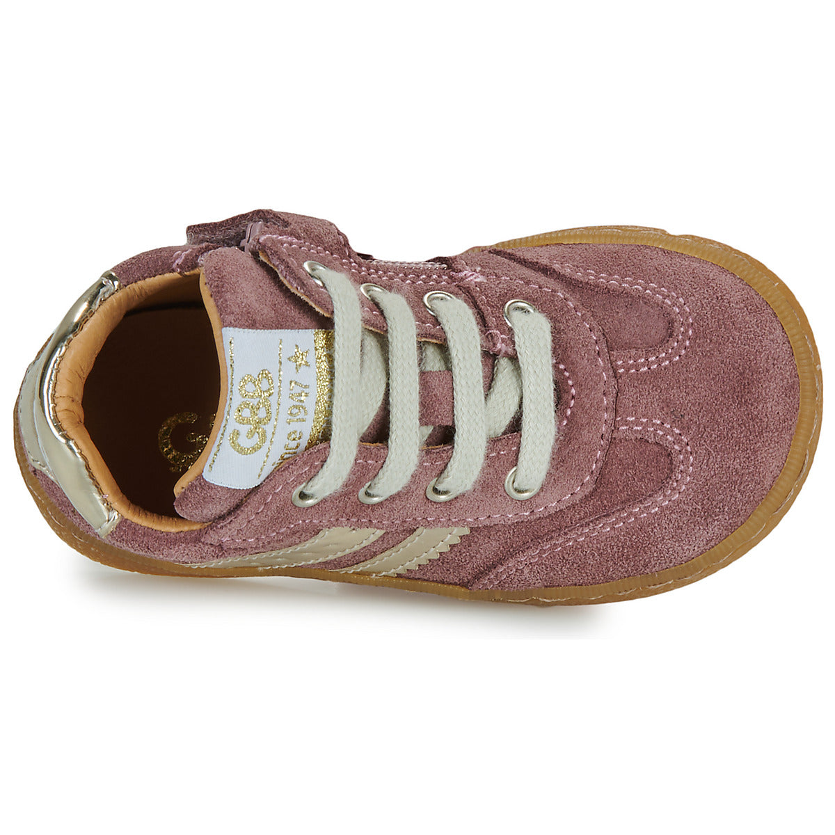 ANAIS GBB rose