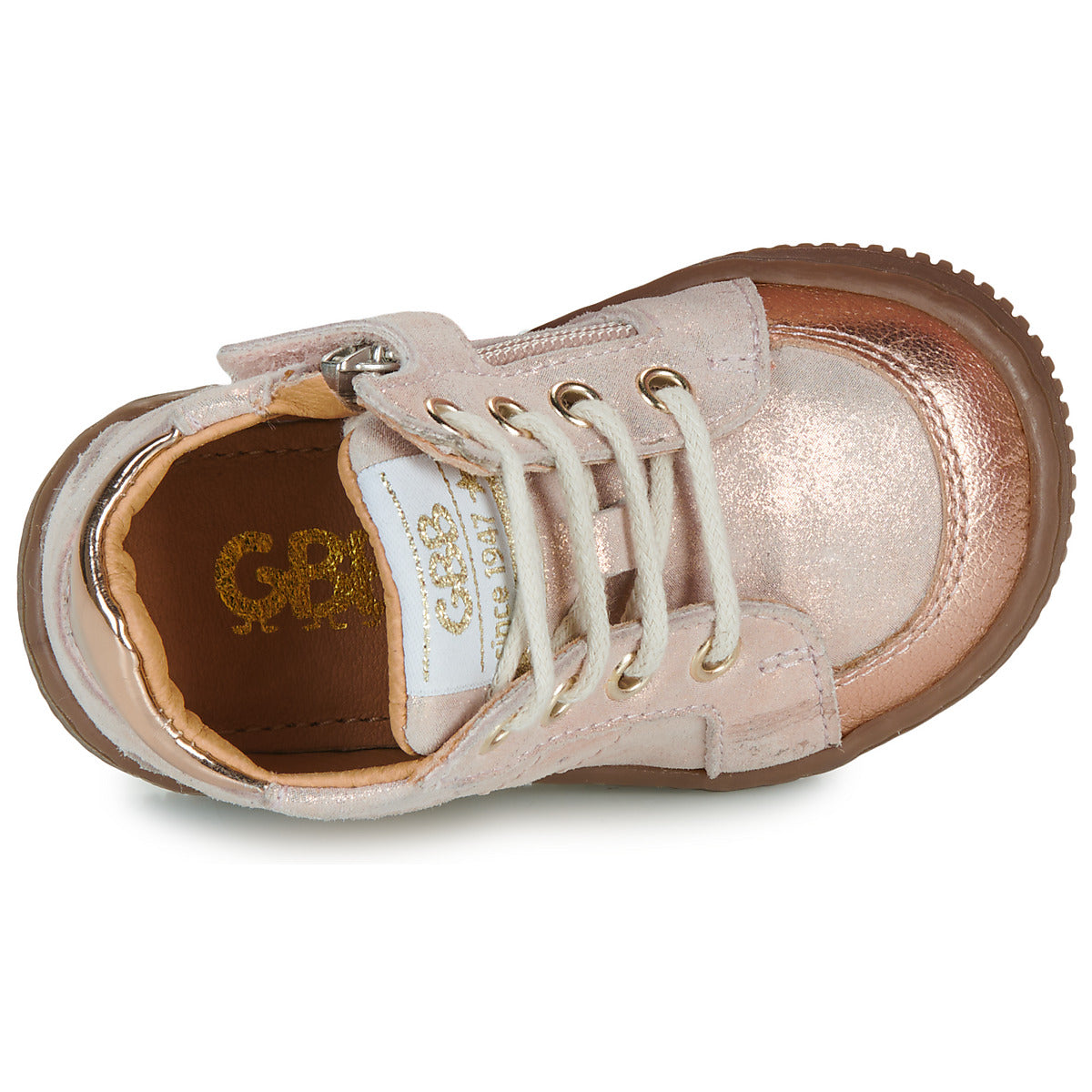FALMARD GBB rose