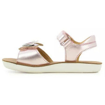 GOA FLY SHOOPOM rose