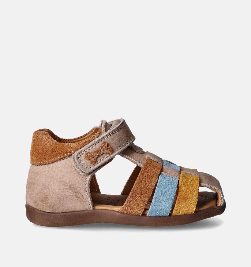 STAM STONES AND BONES camel