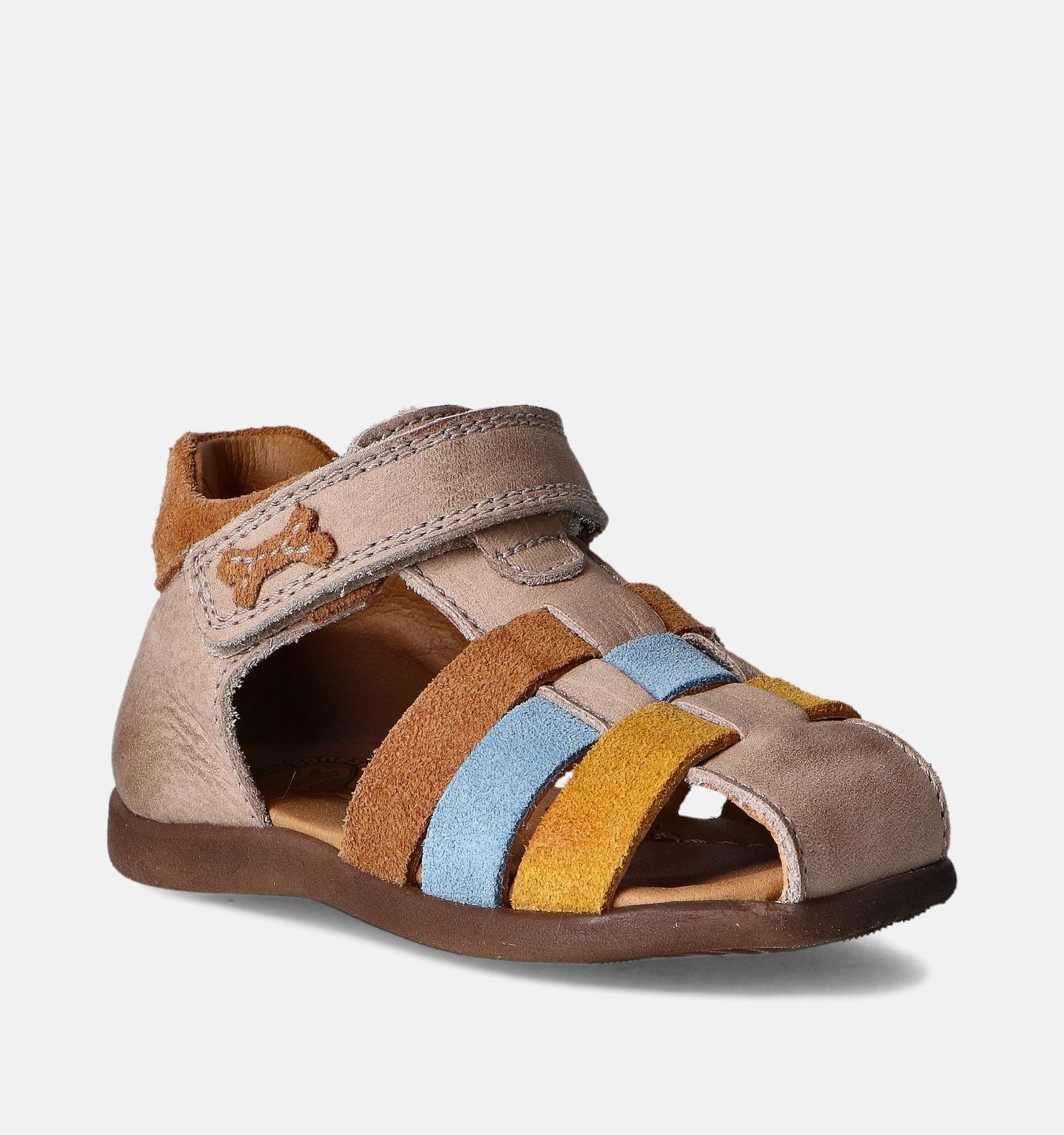 STAM STONES AND BONES camel