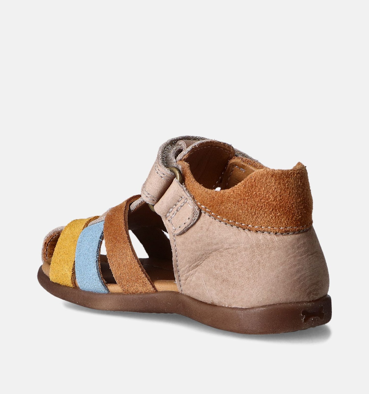 STAM STONES AND BONES camel