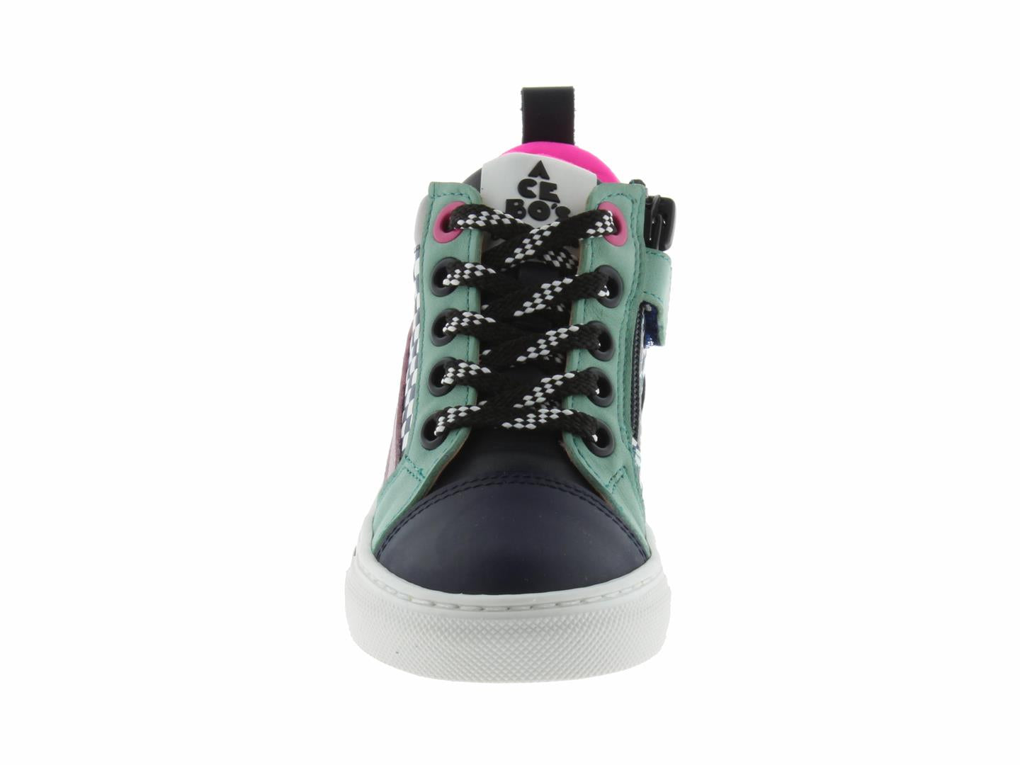 DIEGA5840 rose