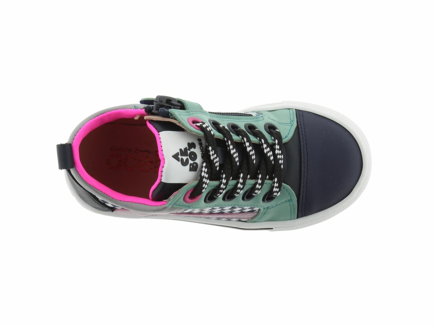 DIEGA5840 rose