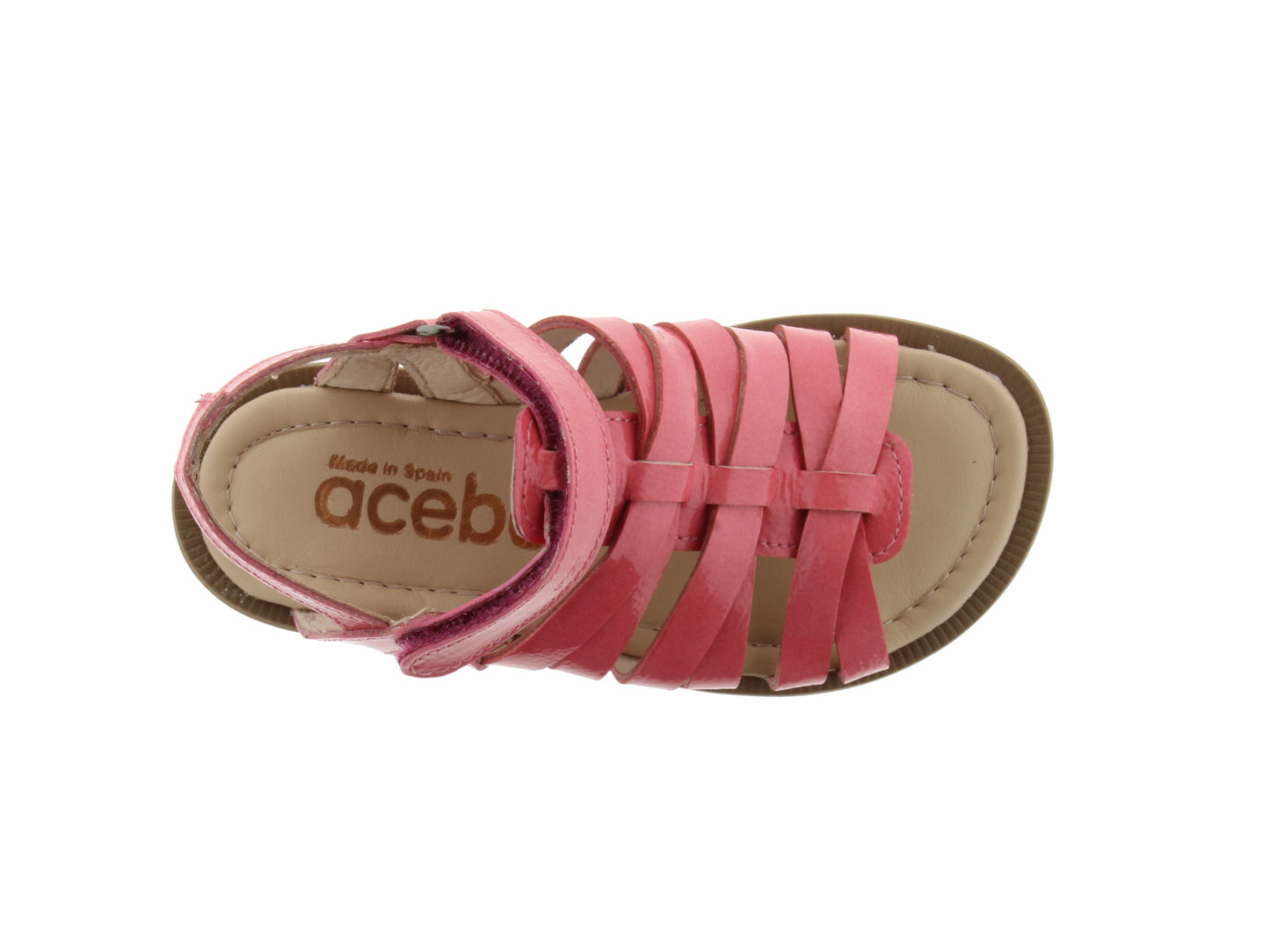 RIANA5914 ACEBO'S rose