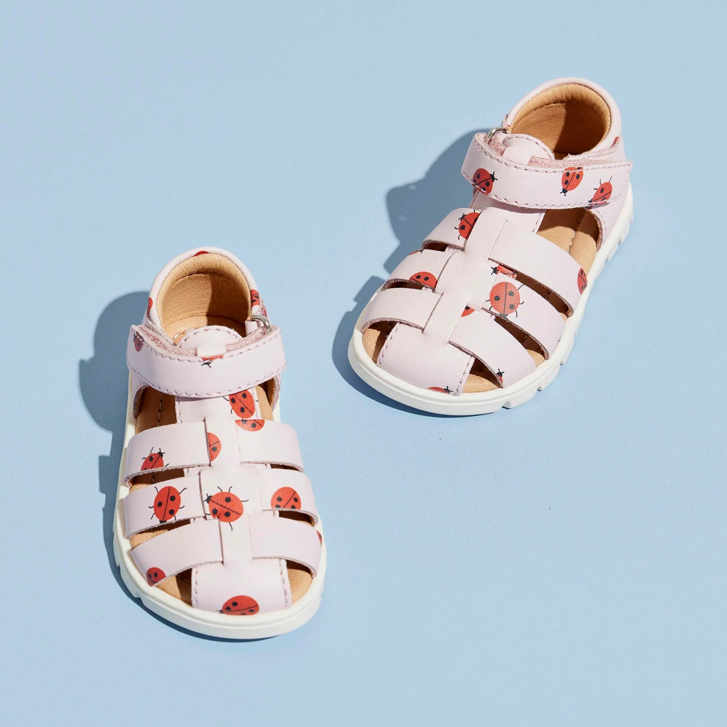 BEKA BISGAARD rose