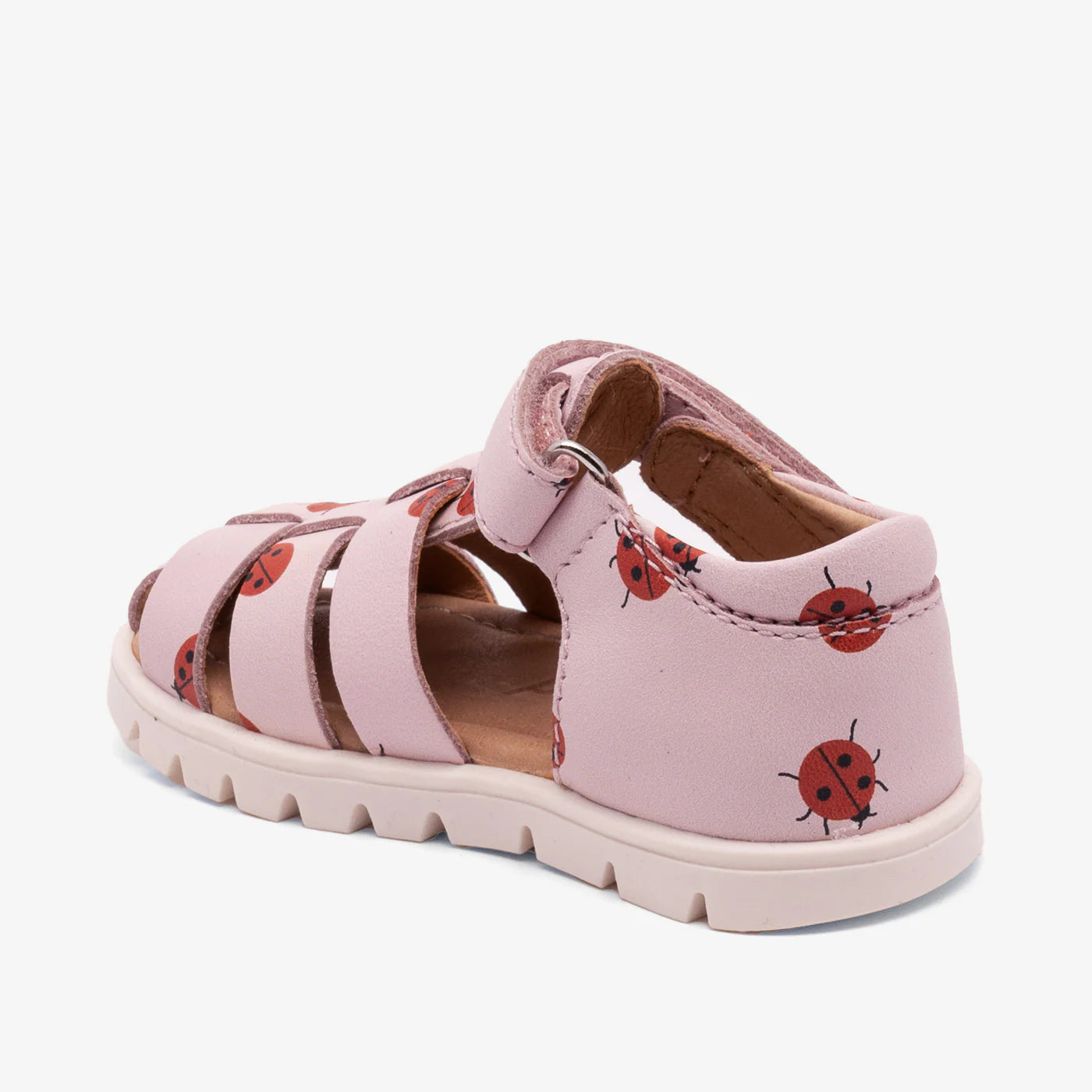 BEKA BISGAARD rose