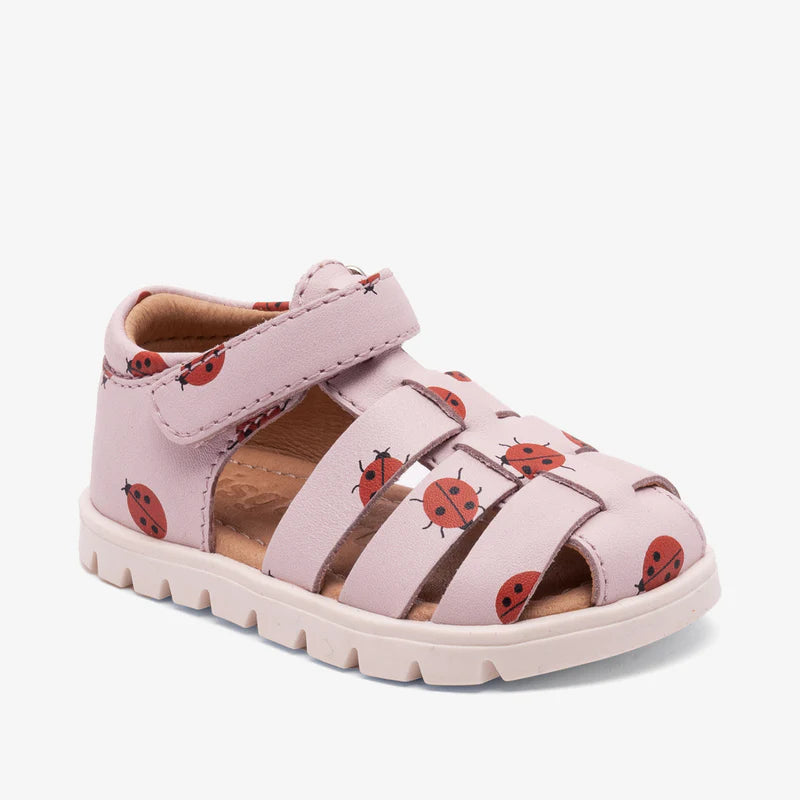 BEKA BISGAARD rose