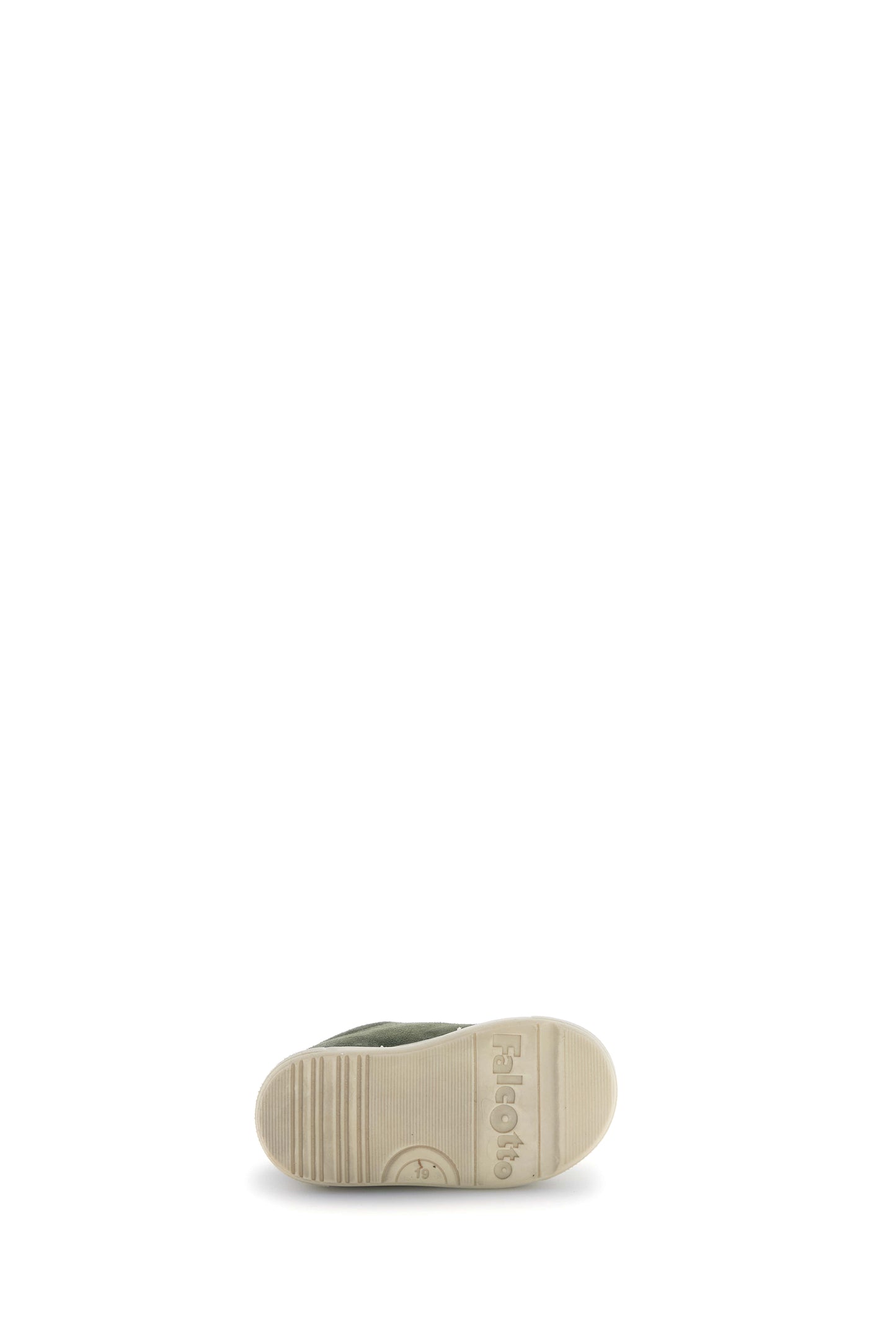 GAZER 26 FALCOTTO olive