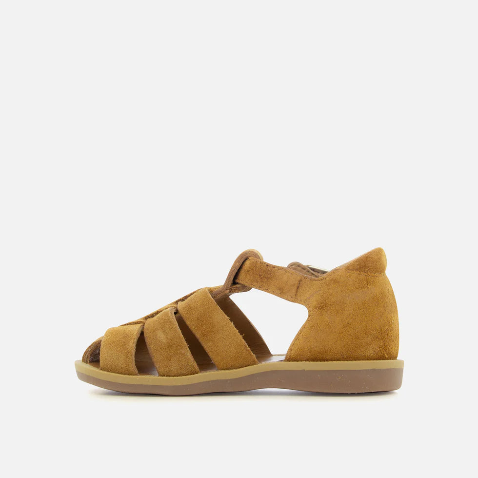 POPPY DADDY VEGETAL POM D'API camel