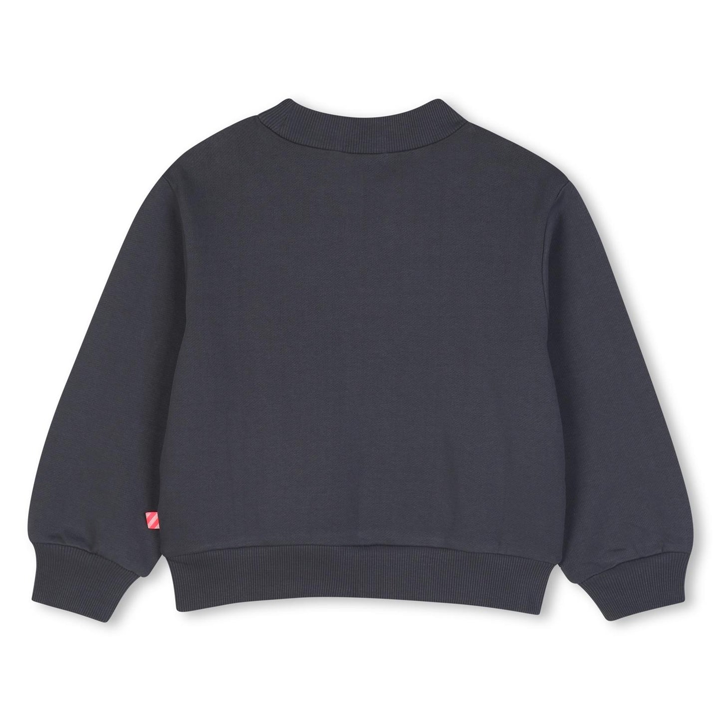 SWEAT 592 BILLIEBLUSH gris