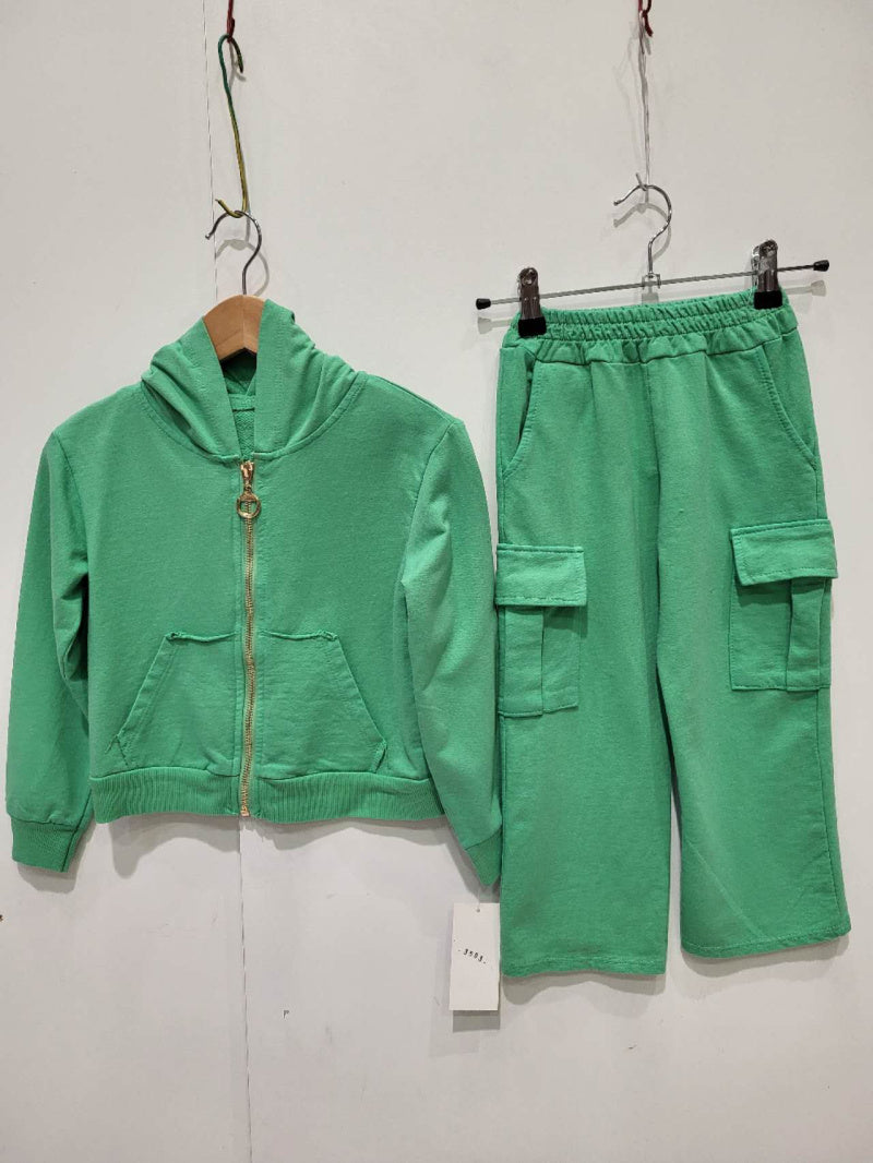 SWEAT ZIPPE 3505 vert