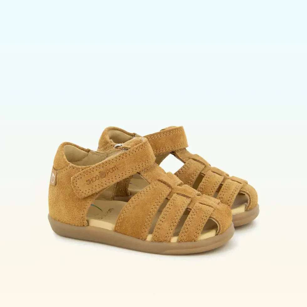 TONTON SHOOPOM camel