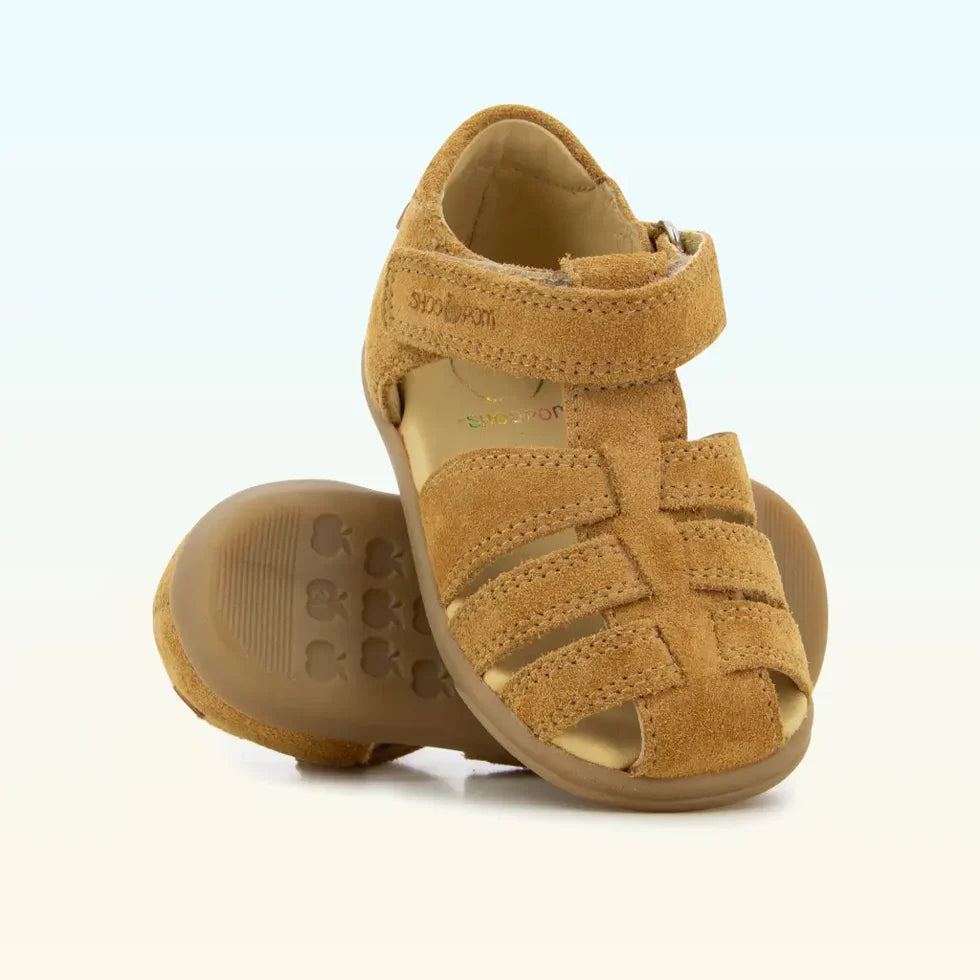 TONTON SHOOPOM camel