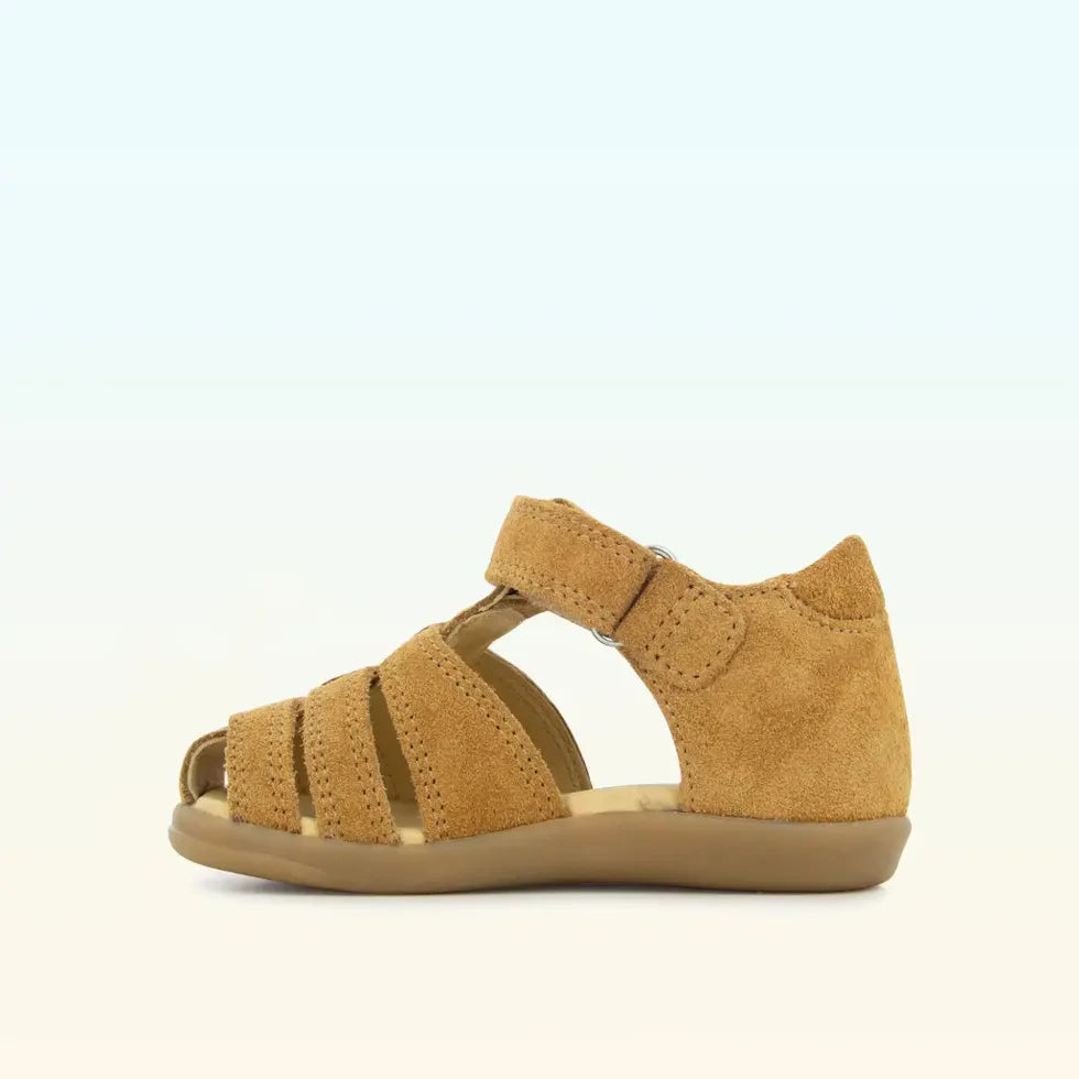 TONTON SHOOPOM camel