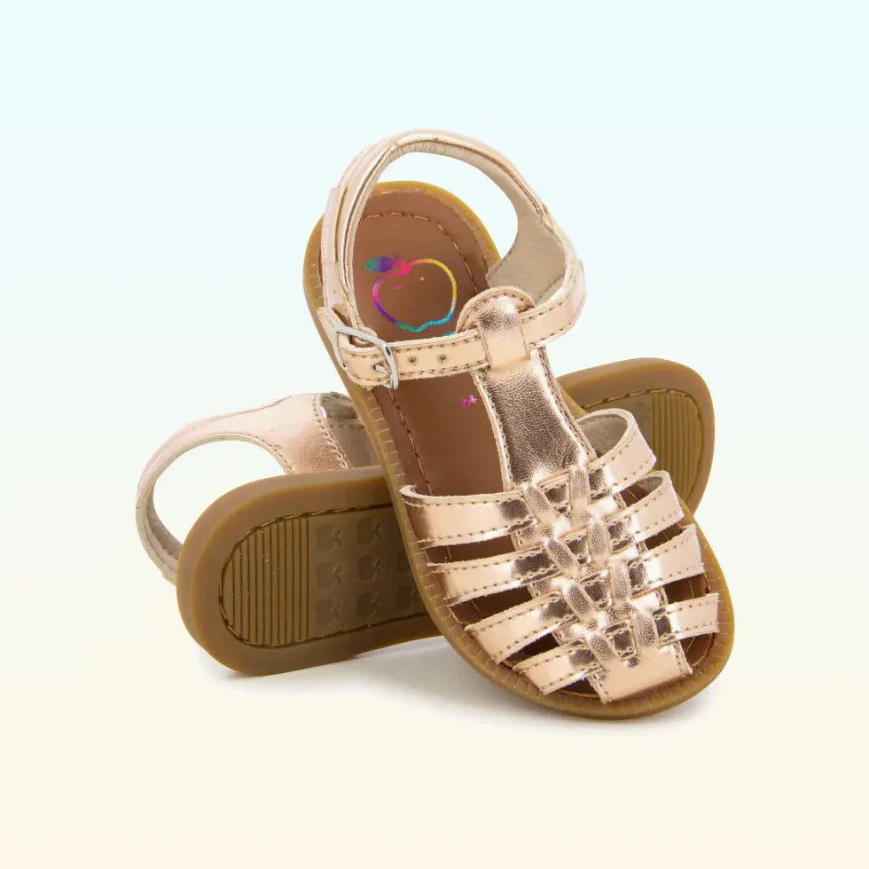SOLAR BOHEM SHOOPOM rose