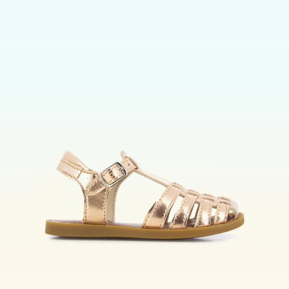 SOLAR BOHEM SHOOPOM rose