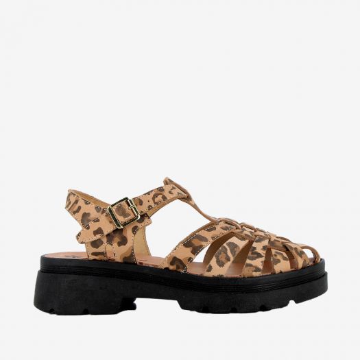 SUNGLASS MEDUSE leopard