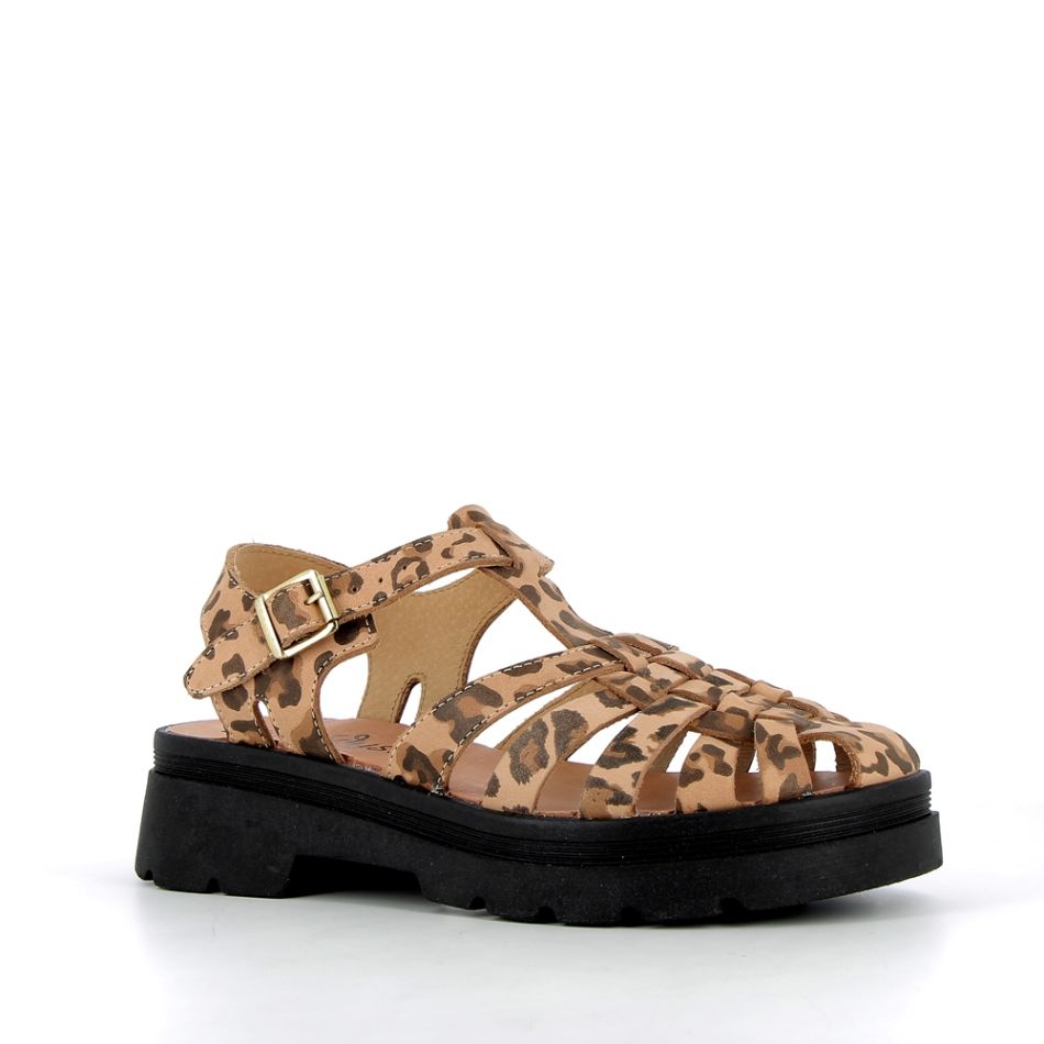 SUNGLASS MEDUSE leopard