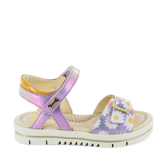 GELLY STONES AND BONES lila