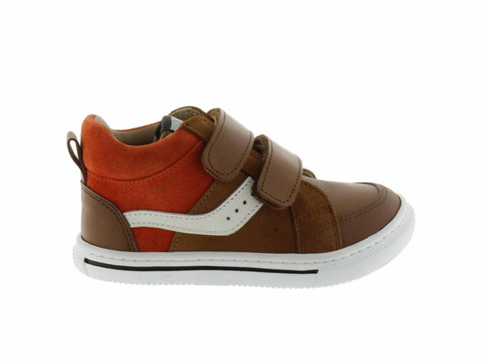 ROBIN1454 camel