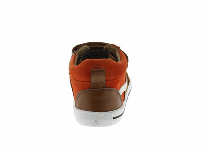 ROBIN1454 camel