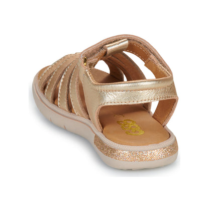 SAVANT GBB or