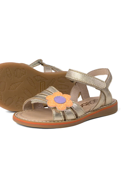 LENA6111 ACEBO'S or