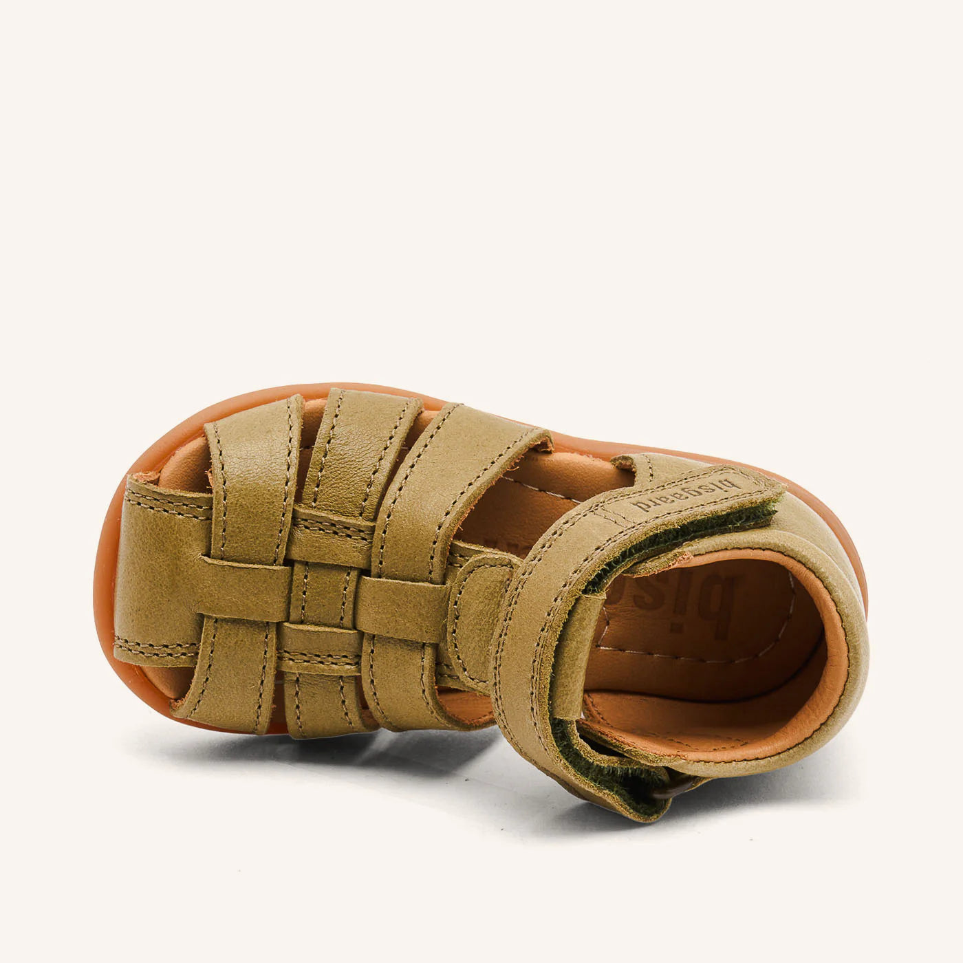 CARLY BISGAARD olive
