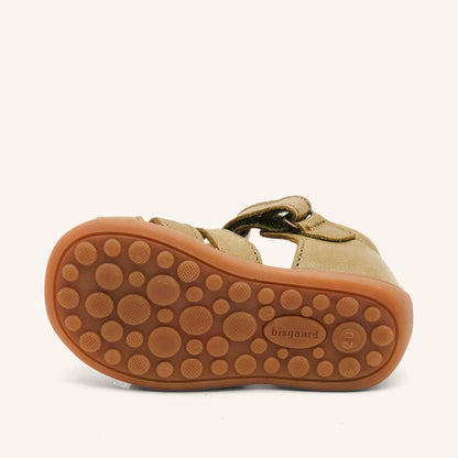 CARLY BISGAARD olive