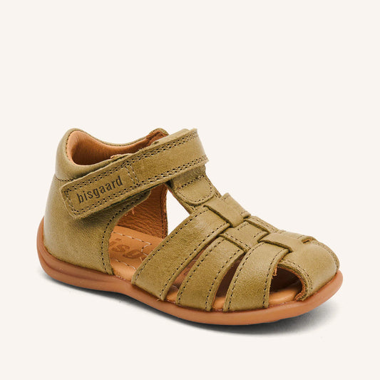 CARLY BISGAARD olive