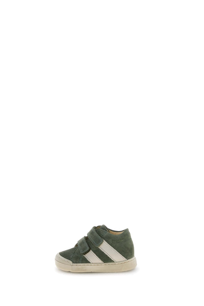 GAZER 26 FALCOTTO olive