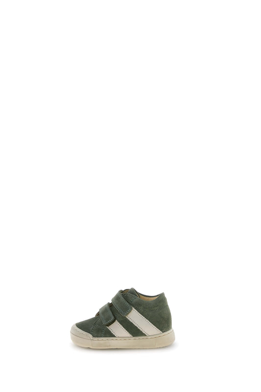 GAZER 26 FALCOTTO olive