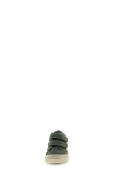 GAZER 26 FALCOTTO olive