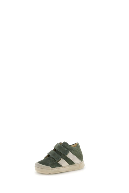 GAZER 26 FALCOTTO olive