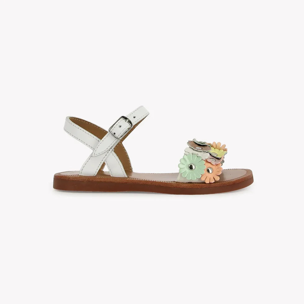 MULTI FLO POM D'API blanc