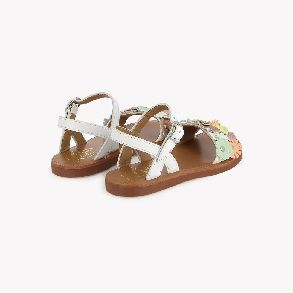 MULTI FLO POM D'API blanc